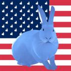 FLAG-LAYETTE LAVANDE FLAG rabbit flag Showroom - Inkjet on plexi, limited editions, numbered and signed. Wildlife painting Art and decoration. Click to select an image, organise your own set, order from the painter on line